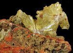 Gemmy, Yellow-Green Adamite Crystals - Durango, Mexico #65301-1